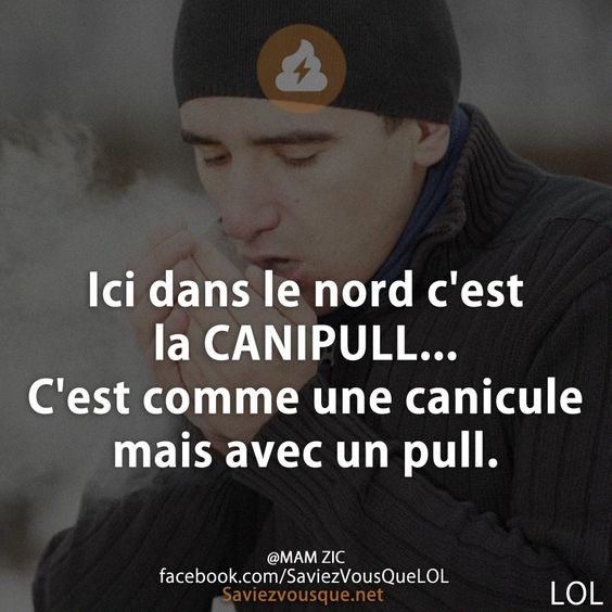 Ici dans le nord c&#039;est la CANIPULL... C&#039;est comme une canicule mais avec un pull.