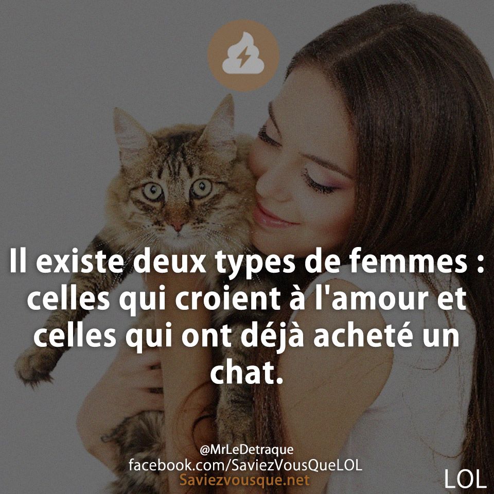 Il existe deux types de femmes : celles qui croient à l&#039;amour et celles qui ont déjà acheté un chat.