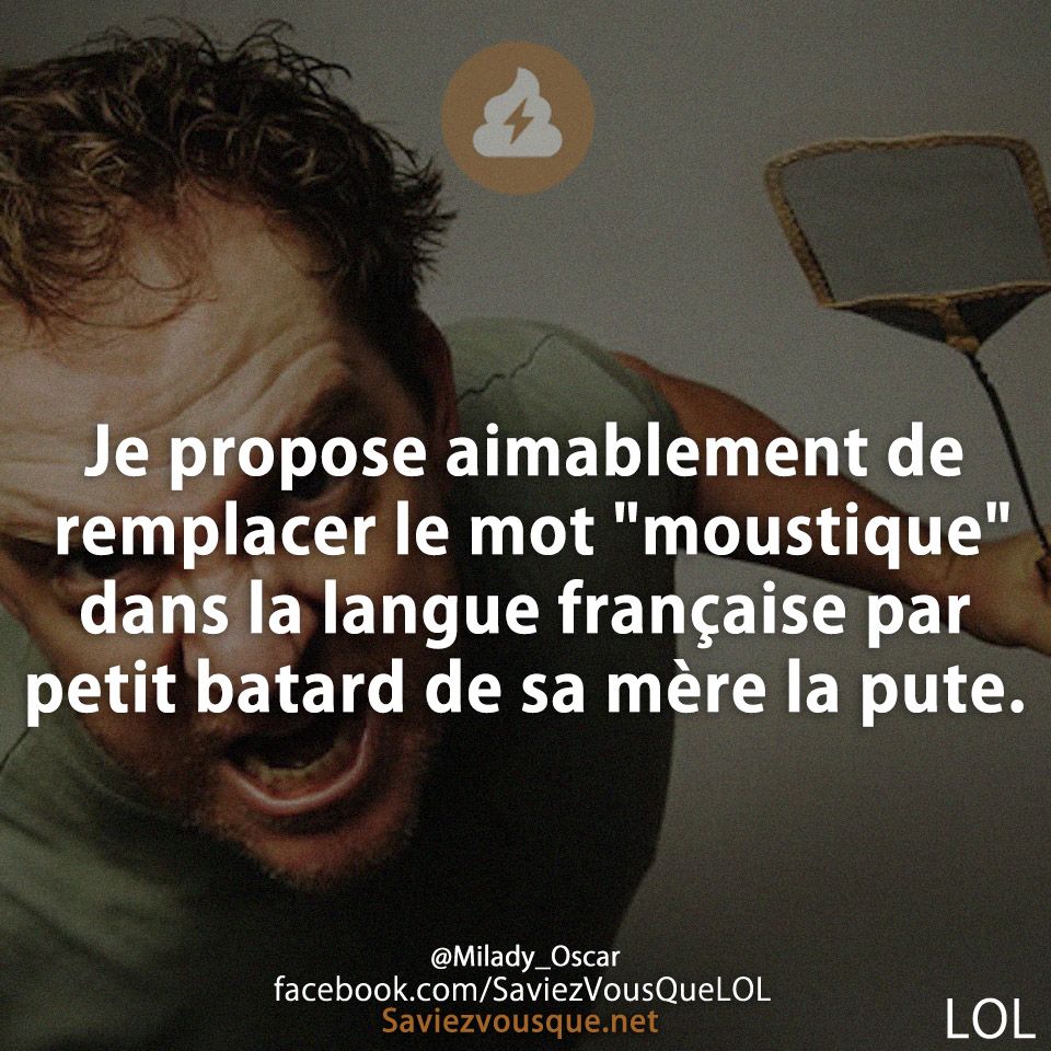 Je propose aimablement de remplacer le mot &quot;moustique&quot; dans la langue française par petit batard de sa mère la pute.