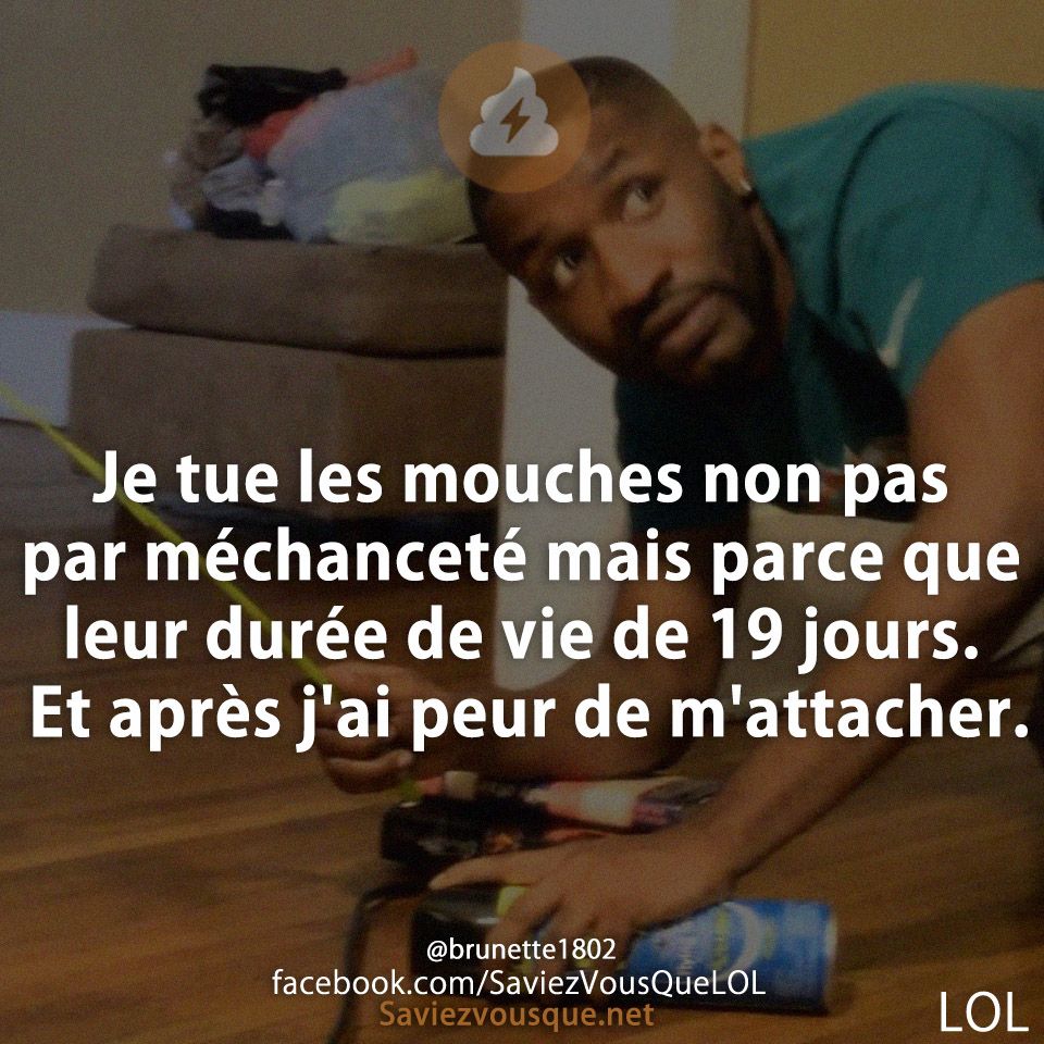 Je tue les mouches non pas par méchanceté mais parce que leur durée de vie de 19 jours. Et après j&#039;ai peur de m&#039;attacher.