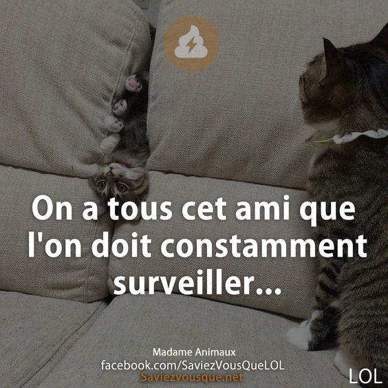 On a tous cet ami que l&#039;on doit constamment surveiller...