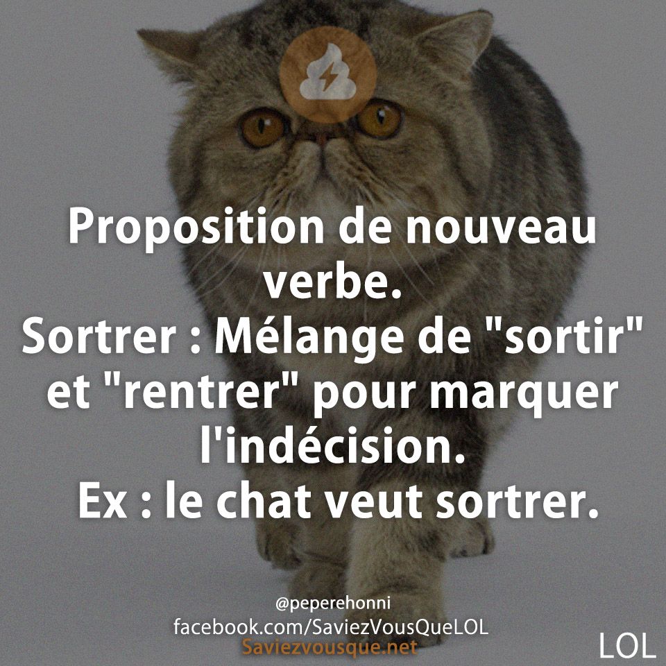 Proposition de nouveau verbe. Sortrer : Mélange de &quot;sortir&quot; et &quot;rentrer&quot; pour marquer l&#039;indécision. Ex : le chat veut sortrer.