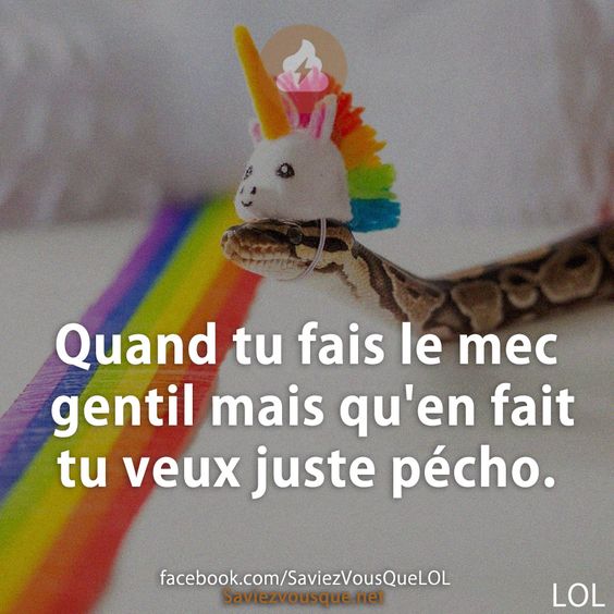 Quand tu fais le mec gentil mais qu&#039;en fait tu veux juste pécho.