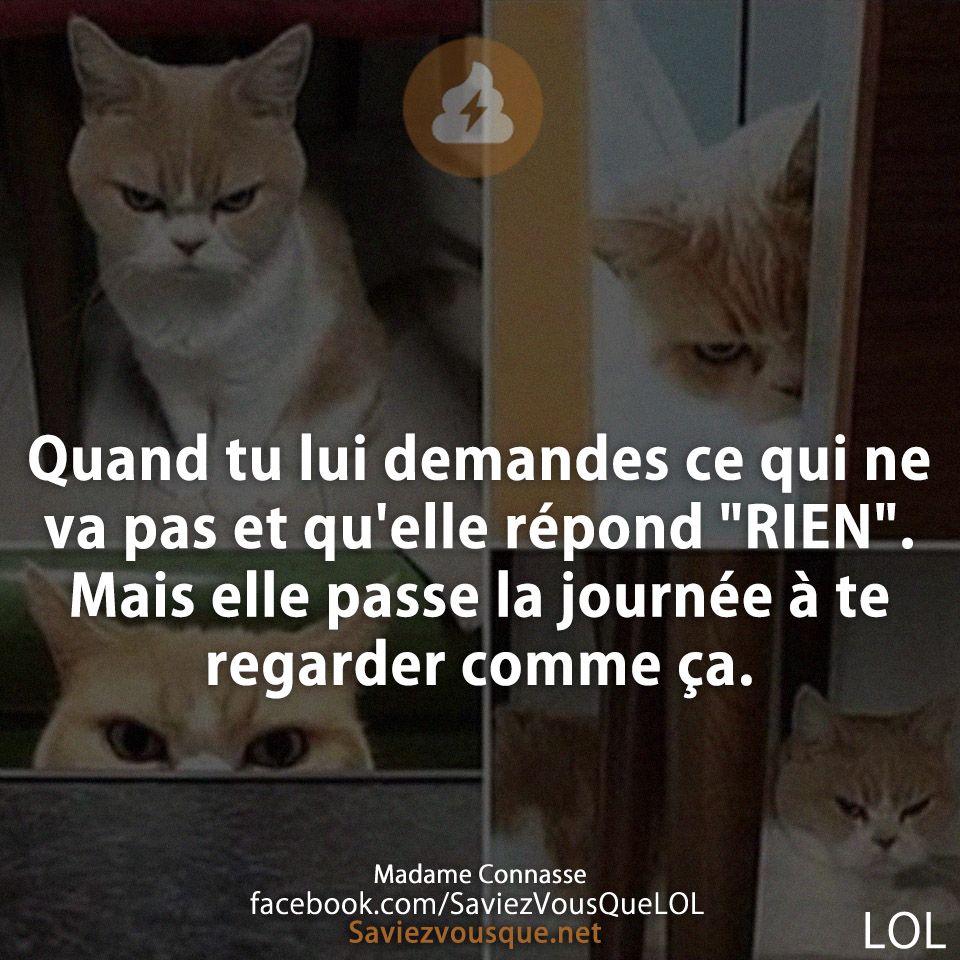 Quand tu lui demandes ce qui ne va pas et qu&#039;elle répond &quot;RIEN&quot;. Mais elle passe la journée à te regarder comme ça.
