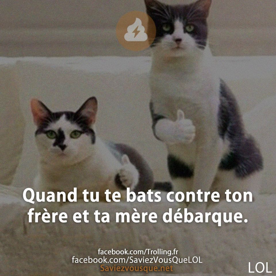 Quand tu te bats contre ton frère et ta mère débarque.