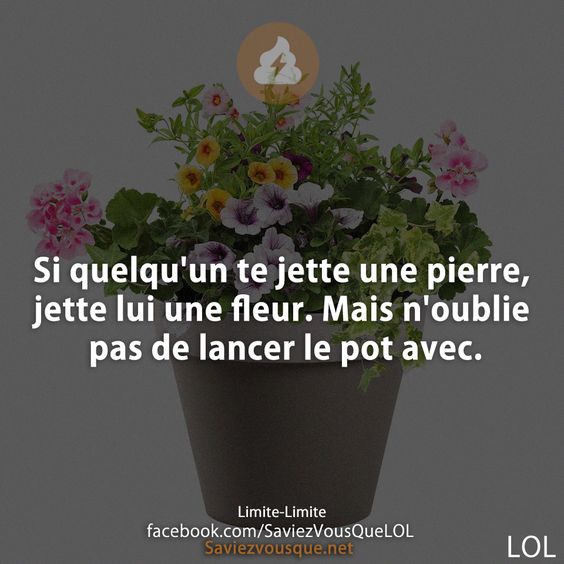 Si quelqu&#039;un te jette une pierre, jette lui une fleur. Mais n&#039;oublie pas de lancer le pot avec.