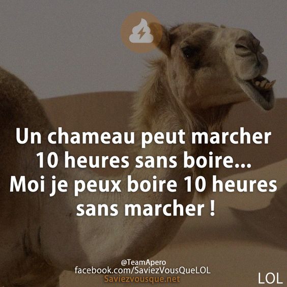 Un chameau peut marcher 10 heures sans boire... Moi je peux boire 10 heures sans marcher !