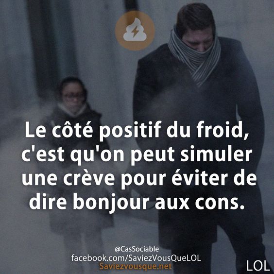 Le côté positif du froid, c&#039;est qu&#039;on peut simuler une crève pour éviter de dire bonjour aux cons.