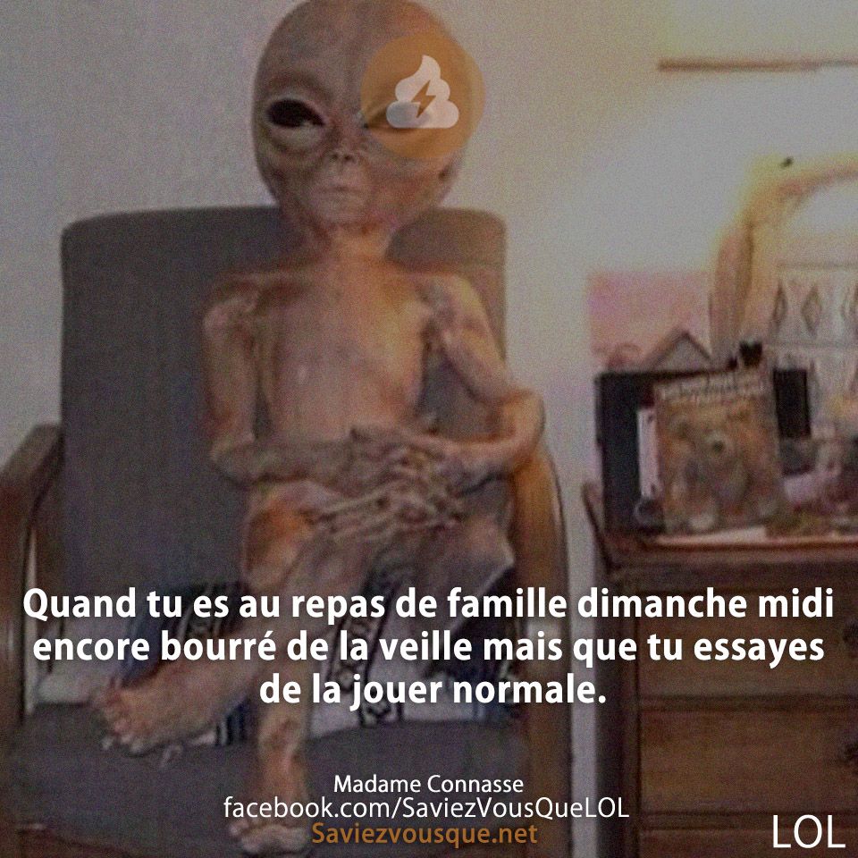 Quand tu es au repas de famille dimanche midi encore bourré de la veille mais que tu essayes de la jouer normale.