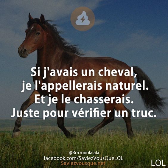 Si j&#039;avais un cheval, je l&#039;appellerais naturel. Et je le chasserais. Juste pour vérifier un truc.