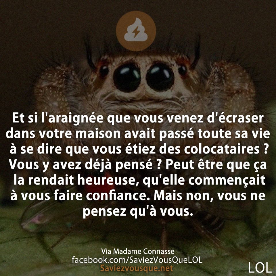 Et si l&#039;araignée que vous venez d&#039;écraser dans votre maison avait passé toute sa vie à se dire que vous étiez des colocataires ? Vous y avez déjà pensé ? Peut être que ça la rendait heureuse, qu&#039;elle commençait à vous faire confiance. Mais non, vous ne pensez qu&#039;à vous.
