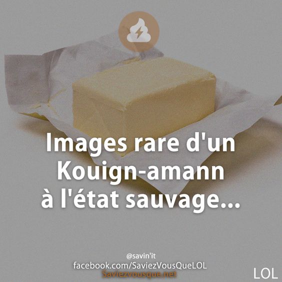 Images rare d&#039;un Kouign-amann à l&#039;état sauvage...