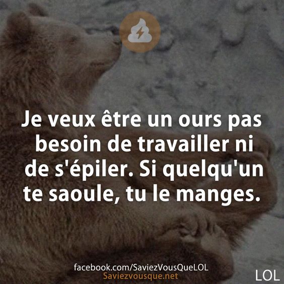 Je veux être un ours pas besoin de travailler ni de s&#039;épiler. Si quelqu&#039;un te saoule, tu le manges.