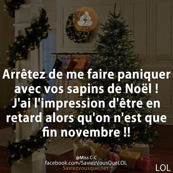 Arrêtez de me faire paniquer avec vos sapins de Noël ! J&#039;ai l&#039;impression d&#039;être en retard alors qu&#039;on n&#039;est que fin novembre !!