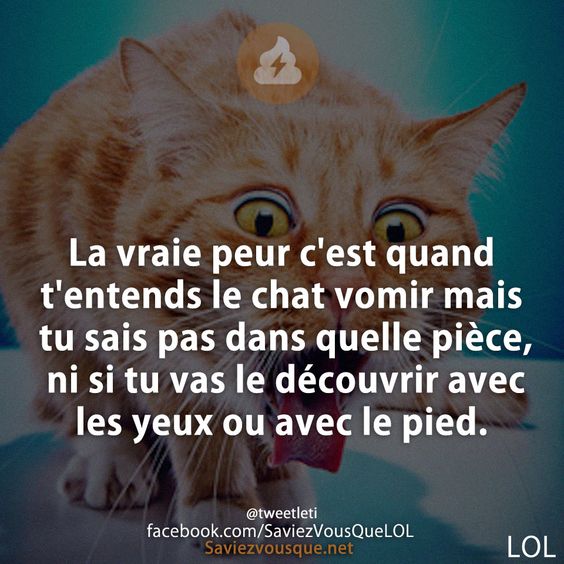 La vraie peur c&#039;est quand t&#039;entends le chat vomir mais tu sais pas dans quelle pièce, ni si tu vas le découvrir avec les yeux ou avec le pied.