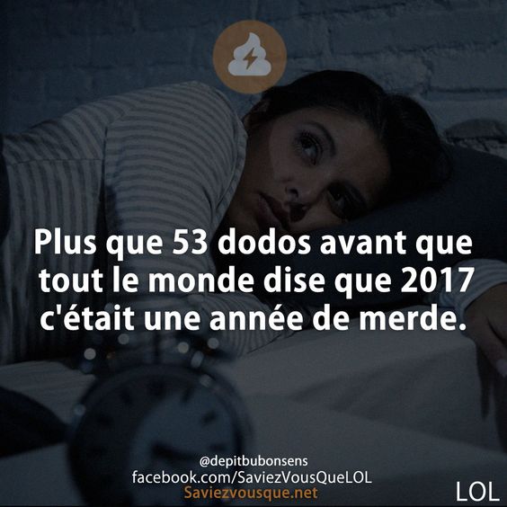 Plus que 53 dodos avant que tout le monde dise que 2017 c&#039;était une année de merde.