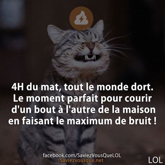 4H du mat, tout le monde dort. Le moment parfait pour courir d&#039;un bout à l&#039;autre de la maison en faisant le maximum de bruit !