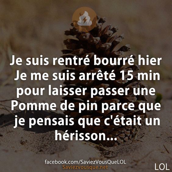 Je suis rentré bourré hier Je me suis arrêté 15 min pour laisser passer une Pomme de pin parce que je pensais que c&#039;était un hérisson...