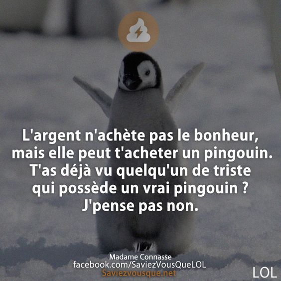 L&#039;argent n&#039;achète pas le bonheur, mais elle peut t&#039;acheter un pingouin. T&#039;as déjà vu quelqu&#039;un de triste qui possède un vrai pingouin ? J&#039;pense pas non.