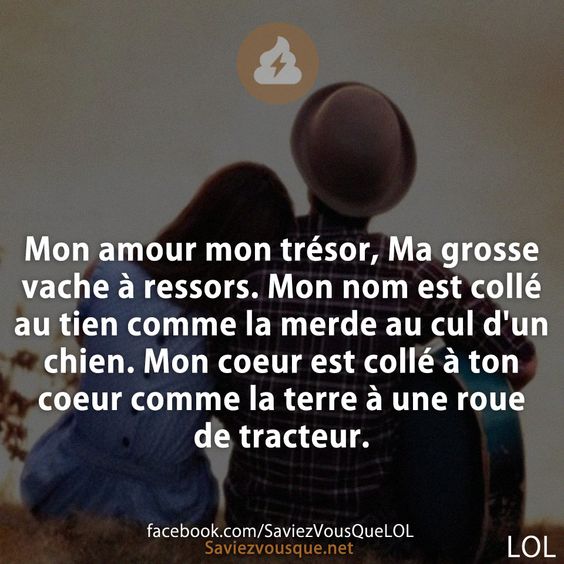 Mon amour mon trésor, Ma grosse vache à ressors. Mon nom est collé au tien comme la merde au cul d&#039;un chien. Mon coeur est collé à ton coeur comme la terre à une roue de tracteur.