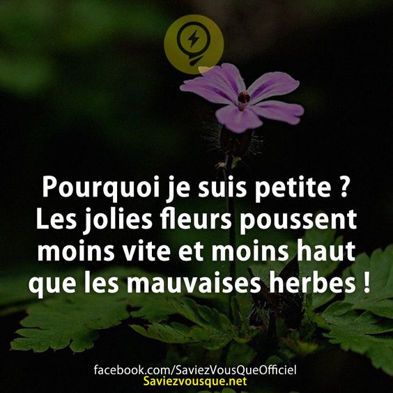 Pourquoi je suis petite ? Les jolies fleurs poussent moins vite et moins haut que les mauvaises herbes !