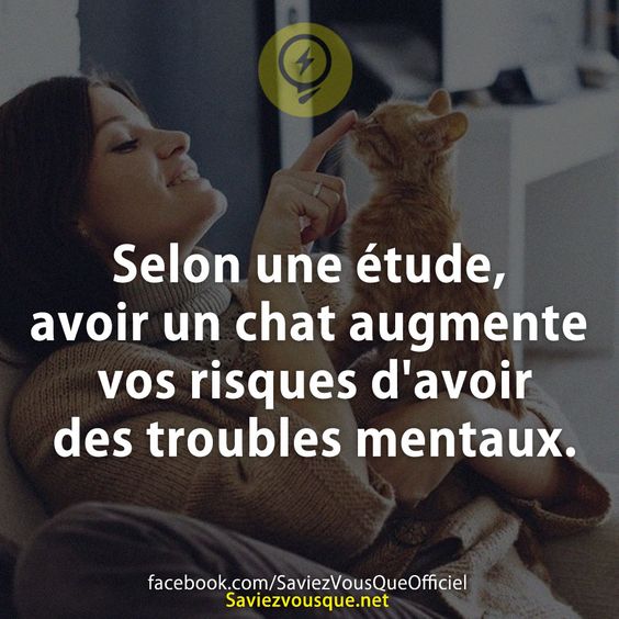 Selon une étude, avoir un chat augmente vos risques d&#039;avoir des troubles mentaux.