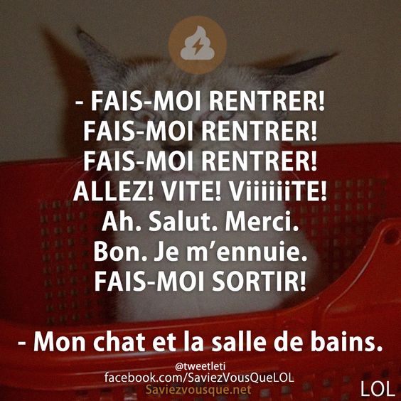 - FAIS-MOI RENTRER! FAIS-MOI RENTRER! FAIS-MOI RENTRER! ALLEZ! VITE! ViiiiiiTE! Ah. Salut. Merci. Bon. Je m’ennuie. FAIS-MOI SORTIR!  - Mon chat et la salle de bains.