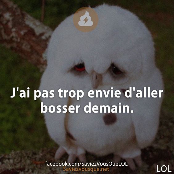 J&#039;ai pas trop envie d&#039;aller bosser demain.