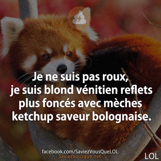Je ne suis pas roux, je suis blond vénitien reflets plus foncés avec mèches ketchup saveur bolognaise.
