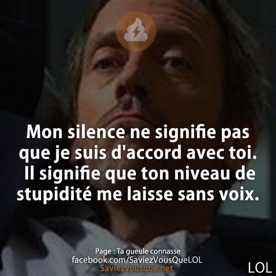 Mon silence ne signifie pas que je suis d&#039;accord avec toi. Il signifie que ton niveau de stupidité me laisse sans voix.