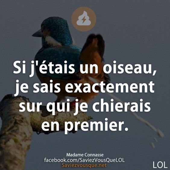 Si j&#039;étais un oiseau, je sais exactement sur qui je chierais en premier.