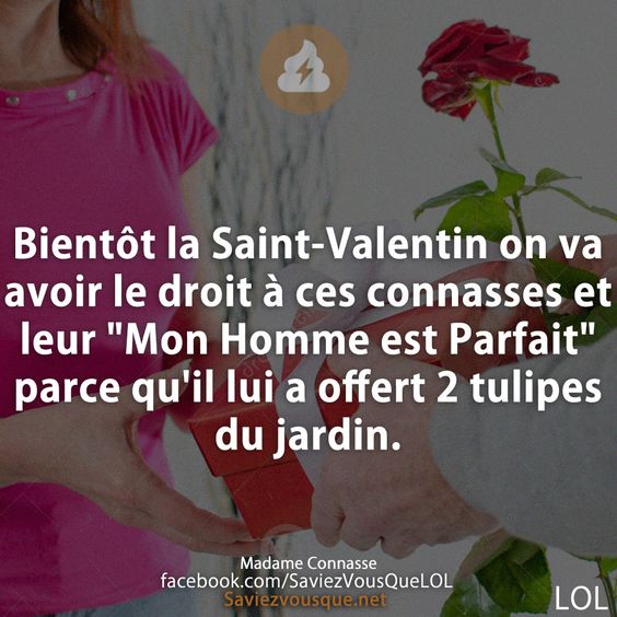 Bientôt la Saint-Valentin on va avoir le droit à ces connasses et leur &quot;Mon Homme est Parfait&quot; parce qu&#039;il lui a offert 2 tulipes du jardin.