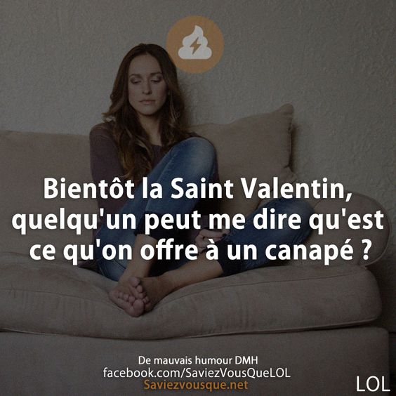 Bientôt la Saint Valentin, quelqu&#039;un peut me dire qu&#039;est ce qu&#039;on offre à un canapé ?