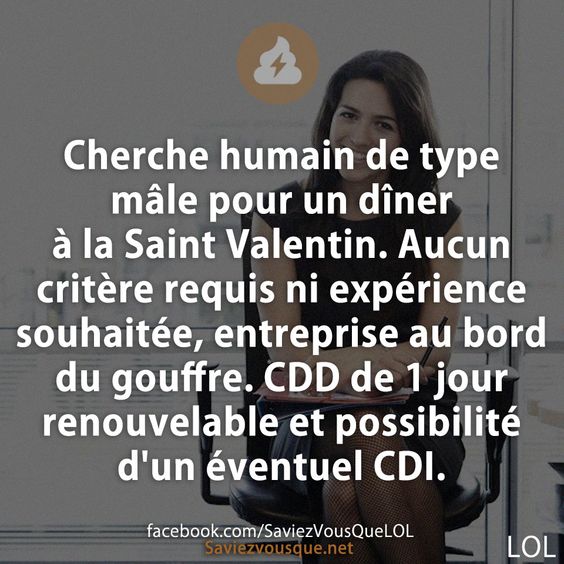 Cherche humain de type mâle pour un dîner à la Saint Valentin. Aucun critère requis ni expérience souhaitée, entreprise au bord du gouffre. CDD de 1 jour renouvelable et possibilité d&#039;un éventuel CDI.