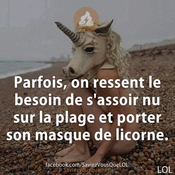 Parfois, on ressent le besoin de s&#039;assoir nu sur la plage et porter son masque de licorne.