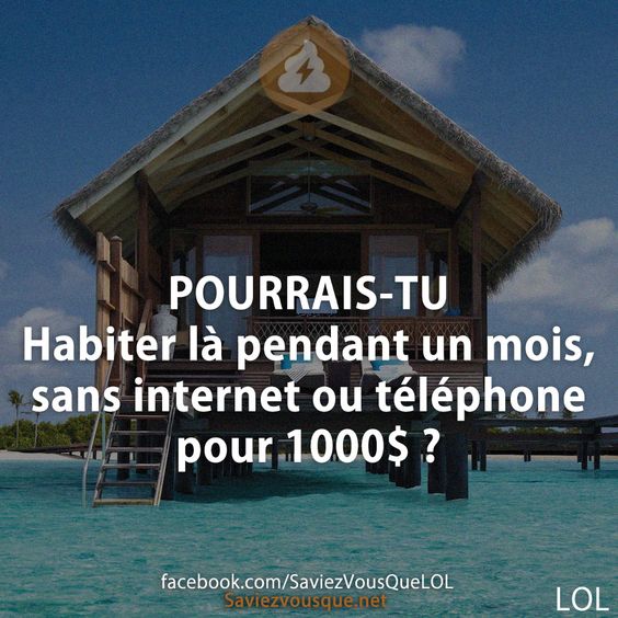 POURRAIS-TU Habiter là pendant un mois, sans internet ou téléphone pour 1000$ ?