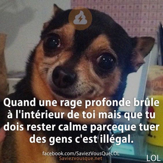 Quand une rage profonde brûle à l&#039;intérieur de toi mais que tu dois rester calme parceque tuer des gens c&#039;est illégal.