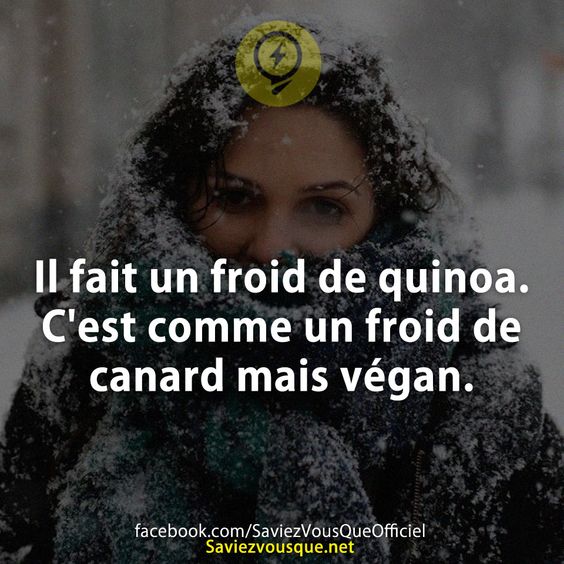Il fait un froid de quinoa. C&#039;est comme un froid de canard mais végan.