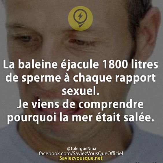 La baleine éjacule 1800 litres de sperme à chaque rapport sexuel. Je viens de comprendre pourquoi la mer était salée.