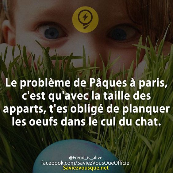 Le problème de Pâques à paris, c&#039;est qu&#039;avec la taille des apparts, t&#039;es obligé de planquer les oeufs dans le cul du chat.