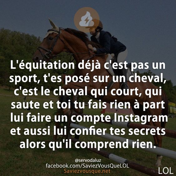 L&#039;équitation déjà c&#039;est pas un sport, t&#039;es posé sur un cheval, c&#039;est le cheval qui court, qui saute et toi tu fais rien à part lui faire un compte Instagram et aussi lui confier tes secrets alors qu&#039;il comprend rien.