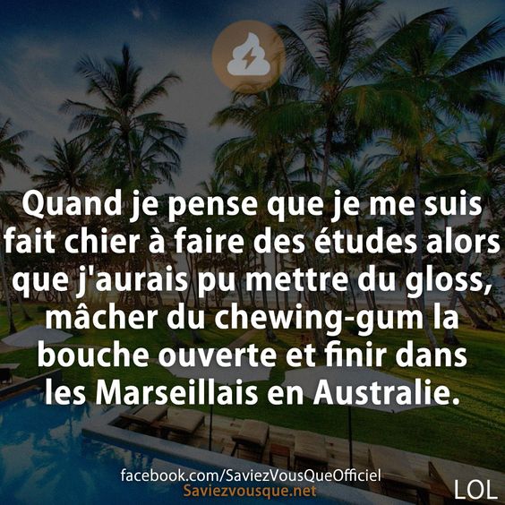 Quand je pense que je me suis fait chier à faire des études alors que j&#039;aurais pu mettre du gloss, mâcher du chewing-gum la bouche ouverte et finir dans les Marseillais en Australie.