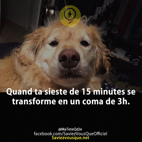 Quand ta sieste de 15 minutes se transforme en un coma de 3h.