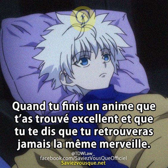 Quand tu finis un anime que t’as trouvé excellent et que tu te dis que tu retrouveras jamais la même merveille.