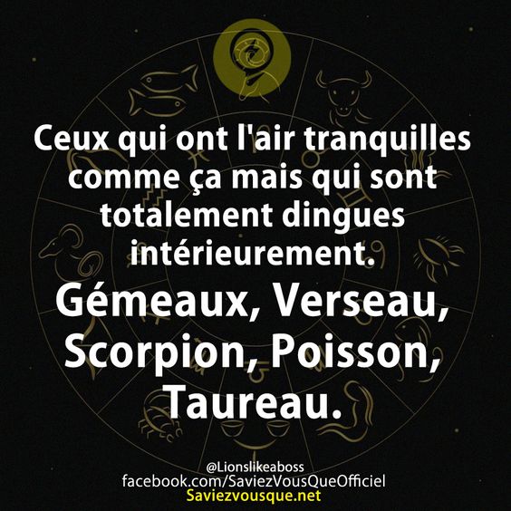 Ceux qui ont l&#039;air tranquilles comme ça mais qui sont totalement dingues intérieurement.  Gémeaux, Verseau, Scorpion, Poisson, Taureau.