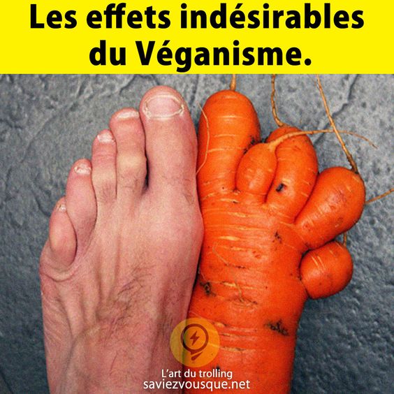 Les effets indésirables du véganisme.