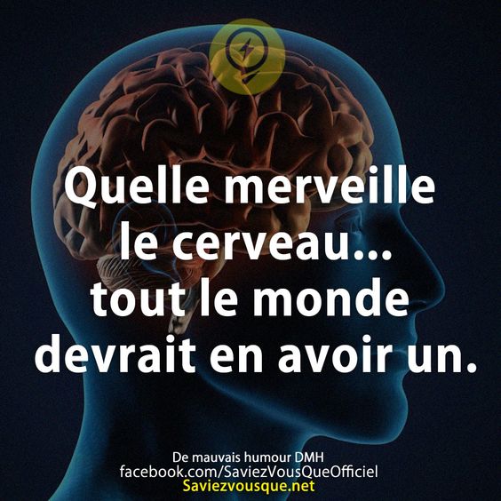 Quelle merveille le cerveau... tout le monde devrait en avoir un.