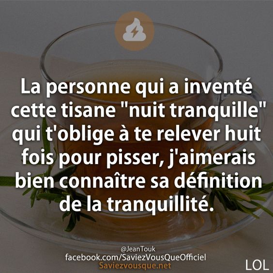 La personne qui a inventé cette tisane &quot;nuit tranquille&quot; qui t&#039;oblige à te releverhuit fois pour pisser, j&#039;aimerais bien connaître sa définition de la tranquillité.
