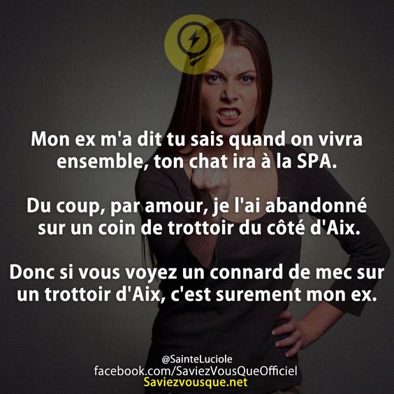 Mon ex m&#039;a dit tu sais quand on vivra ensemble, ton chat ira à la SPA.  Du coup, par amour, je l&#039;ai abandonné sur un coin de trottoir du côté d&#039;Aix.  Donc si vous voyez un connard de mec sur un trottoir d&#039;Aix, c&#039;est surement mon ex.