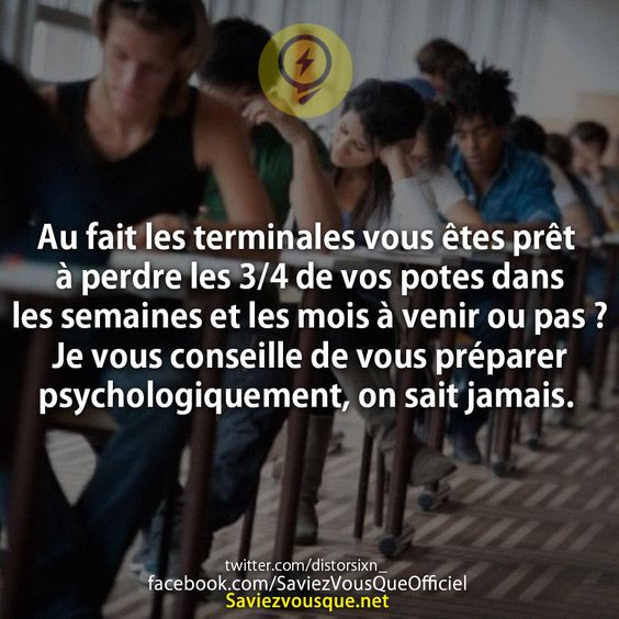 Au fait les terminales vous êtes prêt à perdre les 3/4 de vos potes dans les semaines et les mois à venir ou pas ? Je vous conseille de vous préparer psychologiquement, on sait jamais.